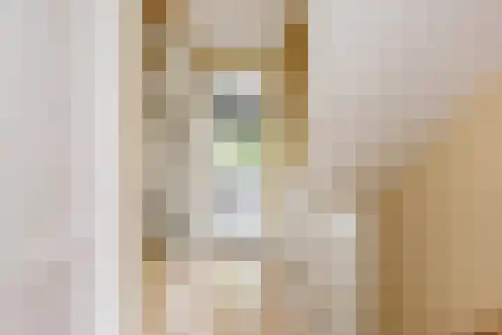 Pijlslaan 65 Haarlem thumbnail 21