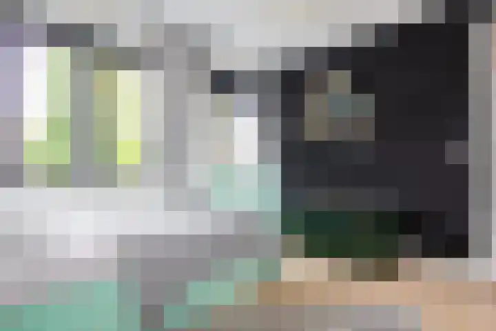 Pijlslaan 65 Haarlem thumbnail 23