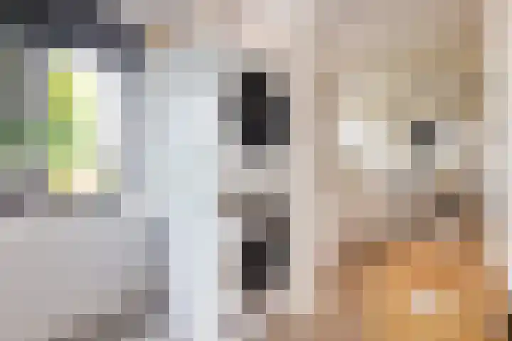 Pijlslaan 65 Haarlem thumbnail 24