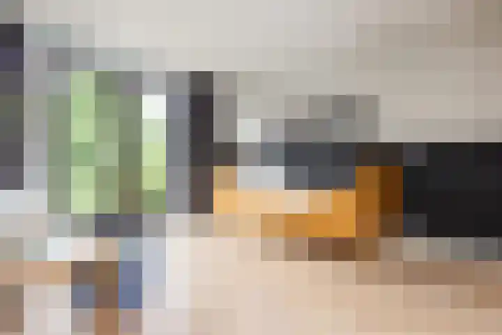 Pijlslaan 65 Haarlem thumbnail 30