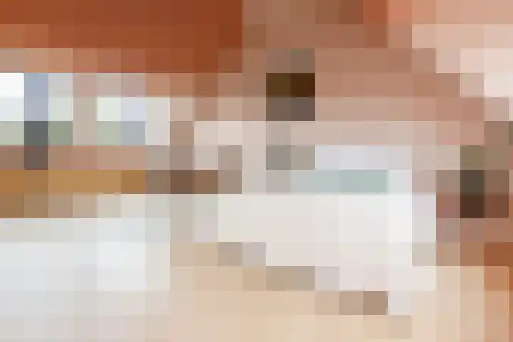 Pijlslaan 65 Haarlem thumbnail 36