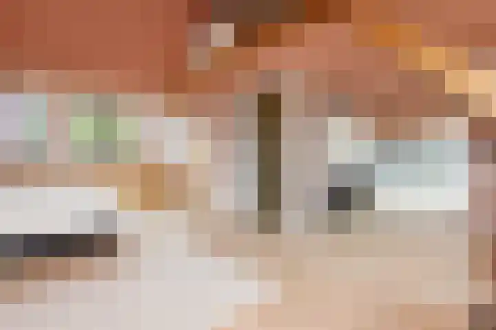 Pijlslaan 65 Haarlem thumbnail 38