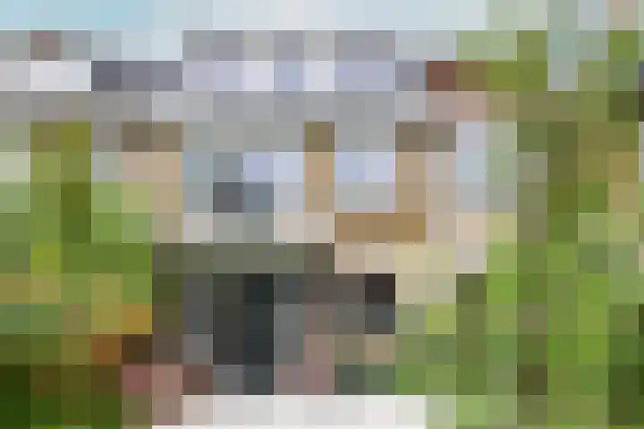 Pijlslaan 65 Haarlem thumbnail 47
