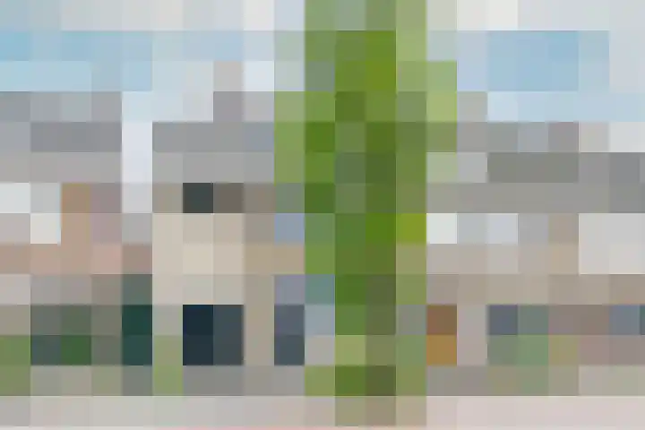 Pijlslaan 65 Haarlem thumbnail 48