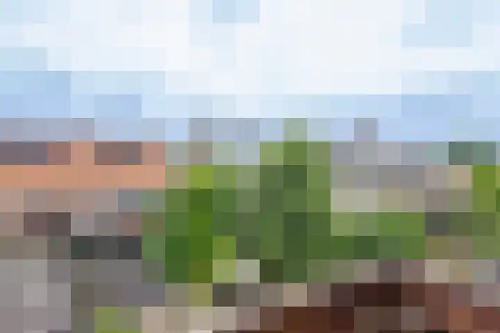 Pijlslaan 65 Haarlem thumbnail 49