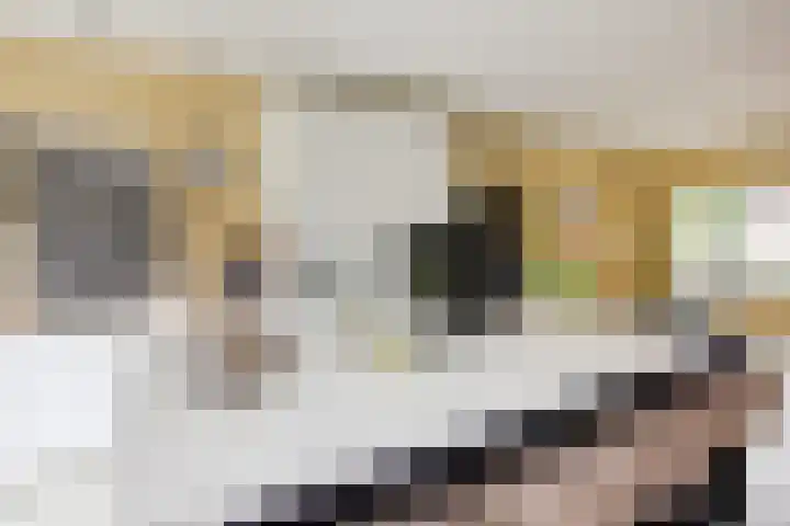Pijlslaan 65 Haarlem thumbnail 5