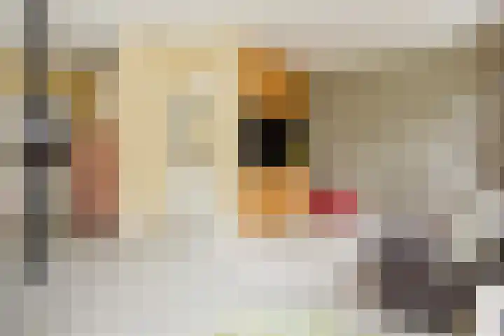 Pijlslaan 65 Haarlem thumbnail 8