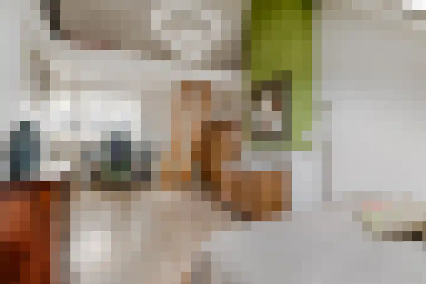 Pijlslaan 69 Haarlem thumbnail 21