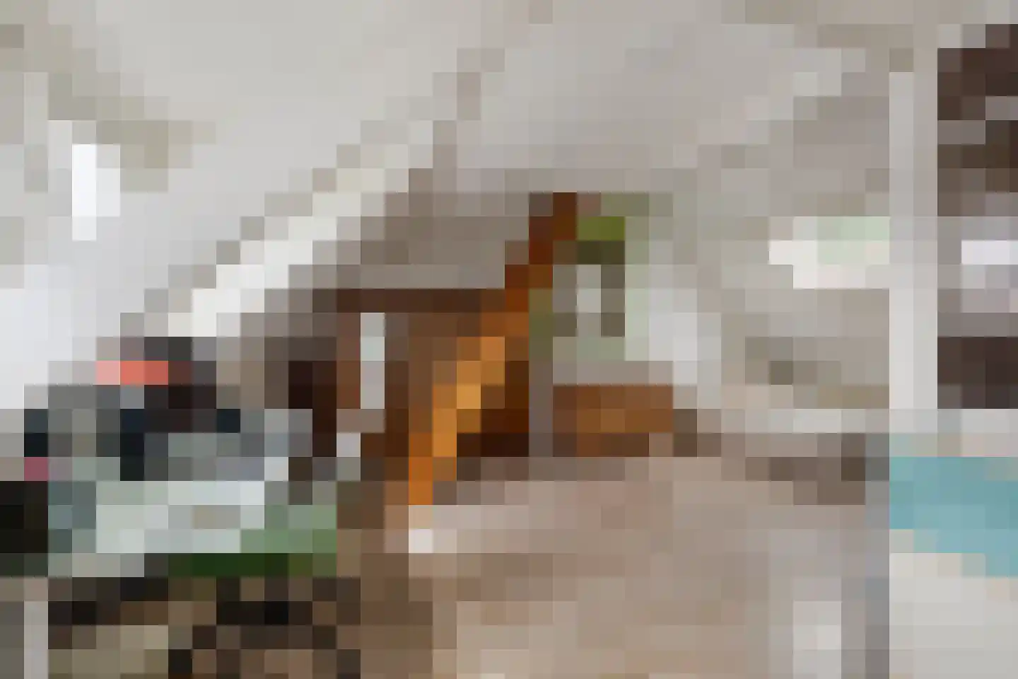 Pijlslaan 69 Haarlem thumbnail 22