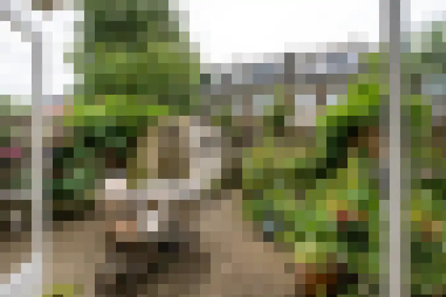 Pijlslaan 69 Haarlem thumbnail 23