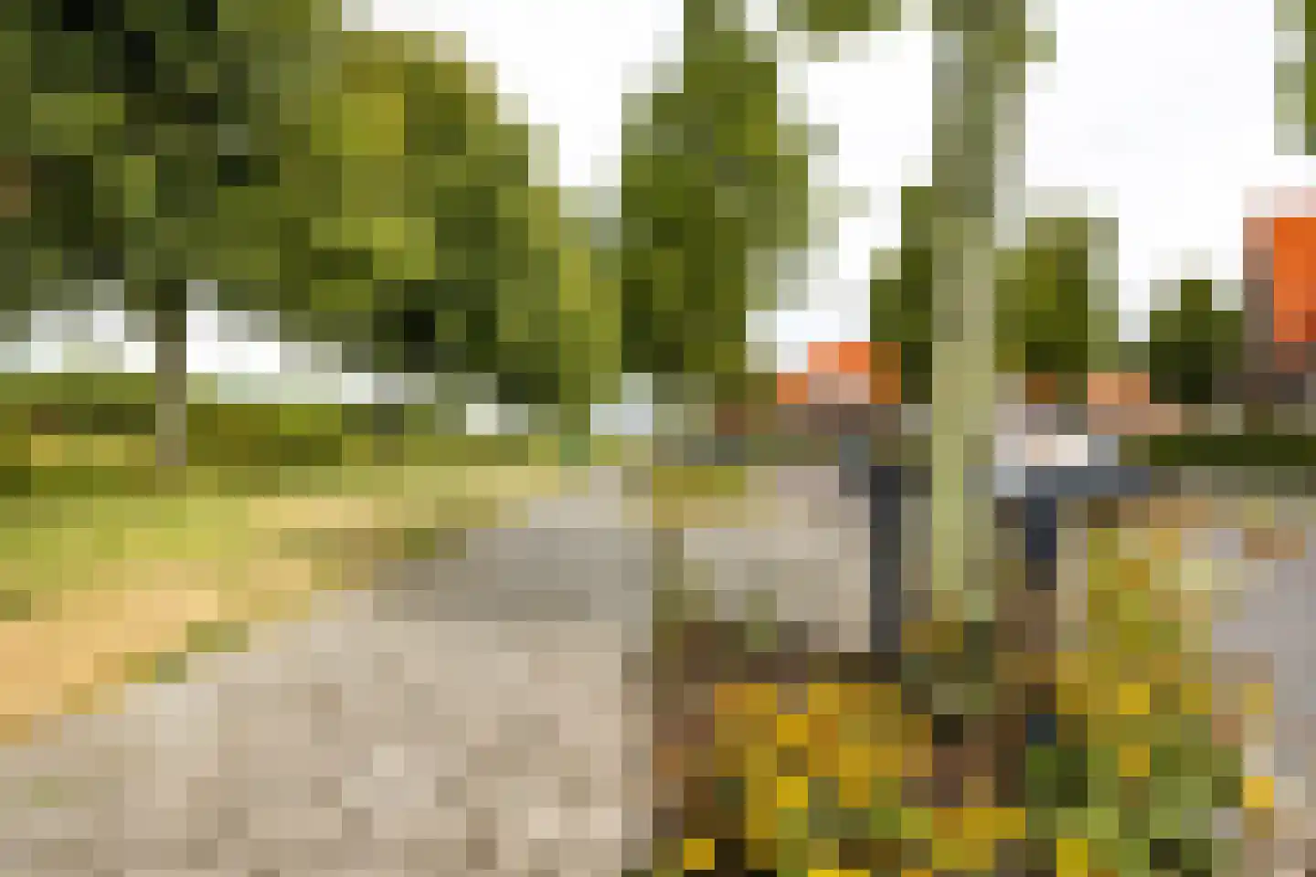 Pijlslaan 69 Haarlem thumbnail 25