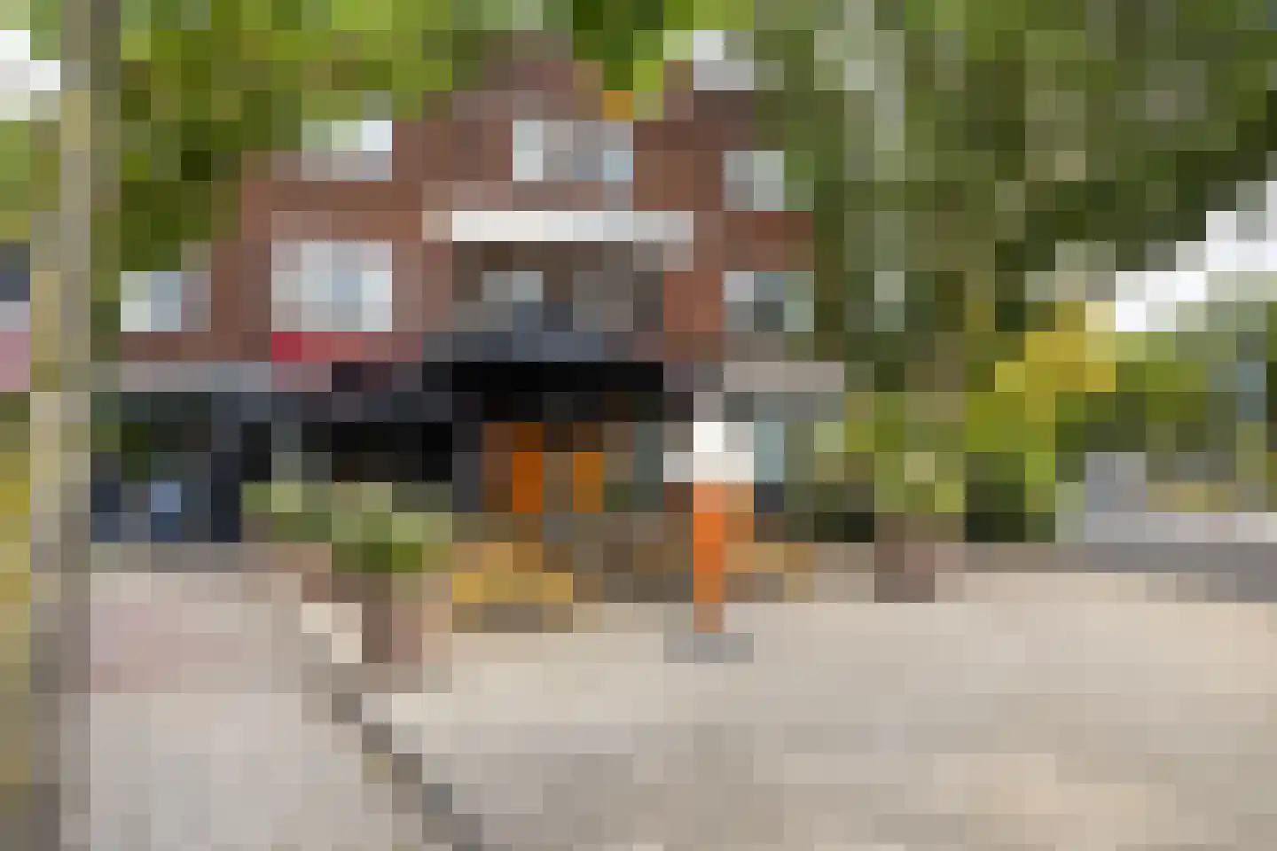 Pijlslaan 69 Haarlem thumbnail 26