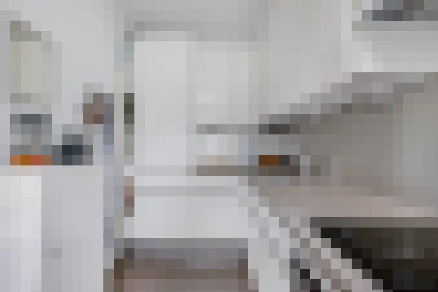 Pijlslaan 69 Haarlem thumbnail 4