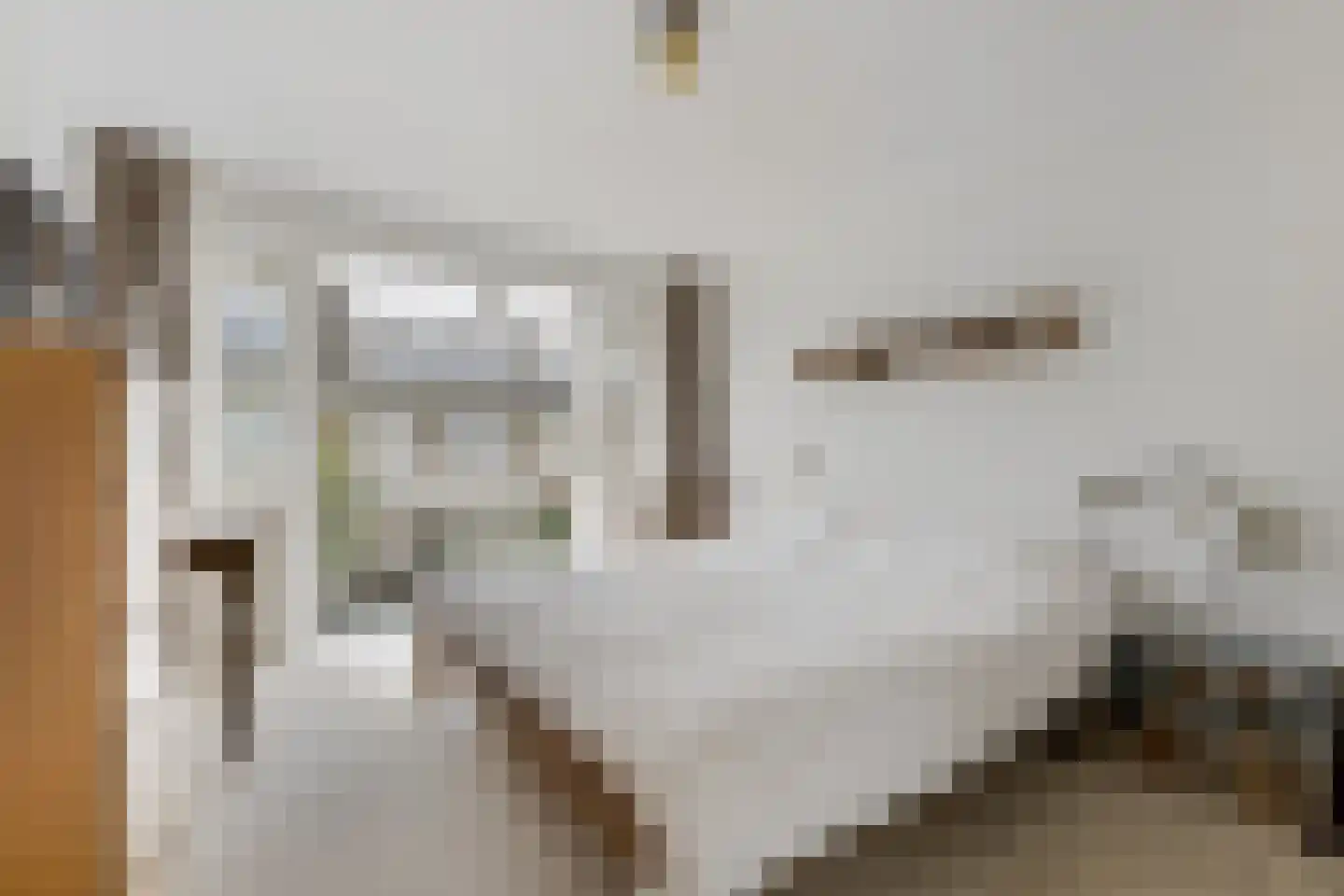 Pijlslaan 69 Haarlem thumbnail 5