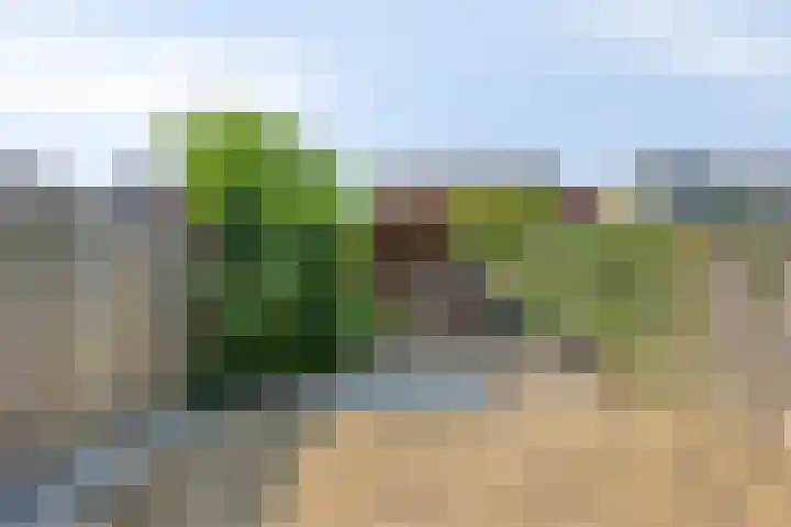 Pijlstaart 14 Bergen op Zoom thumbnail 21