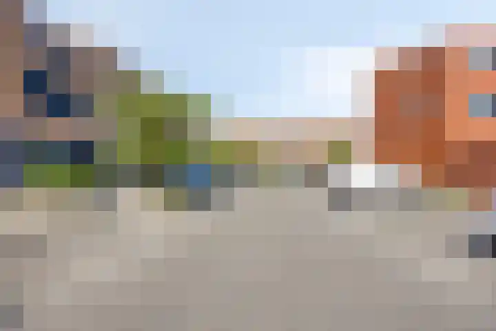 Pijlstaart 14 Bergen op Zoom thumbnail 25