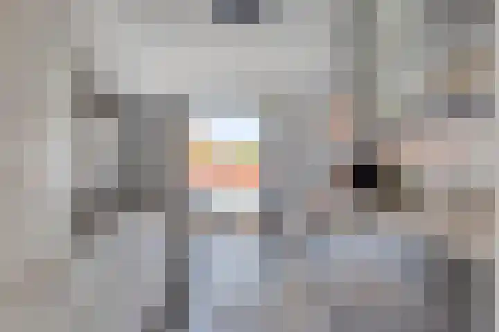 Pijlstaart 14 Bergen op Zoom thumbnail 5