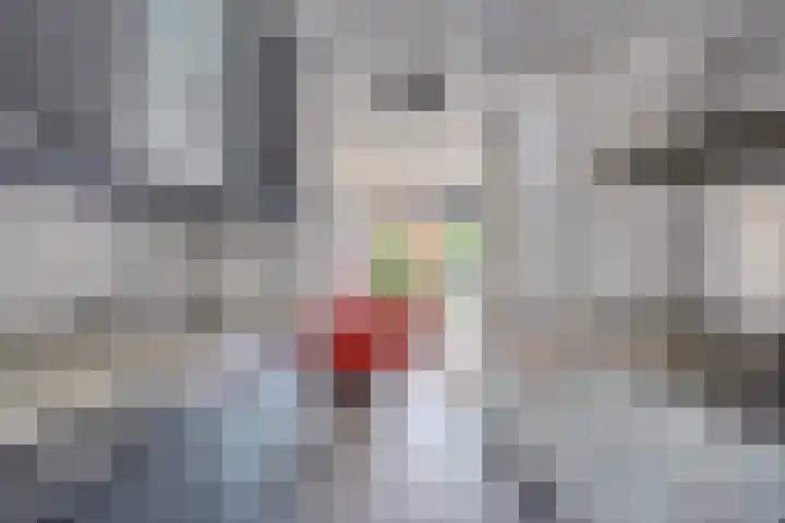 Pijlstaart 14 Bergen op Zoom thumbnail 7