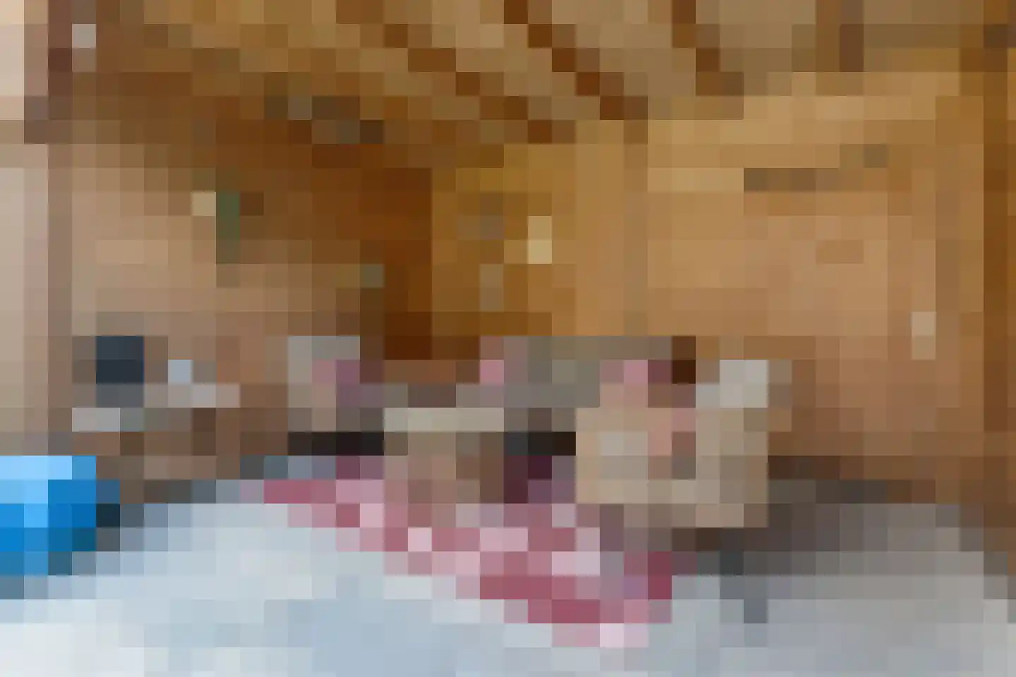 Pijlstaart 18 Oud-Beijerland thumbnail 36