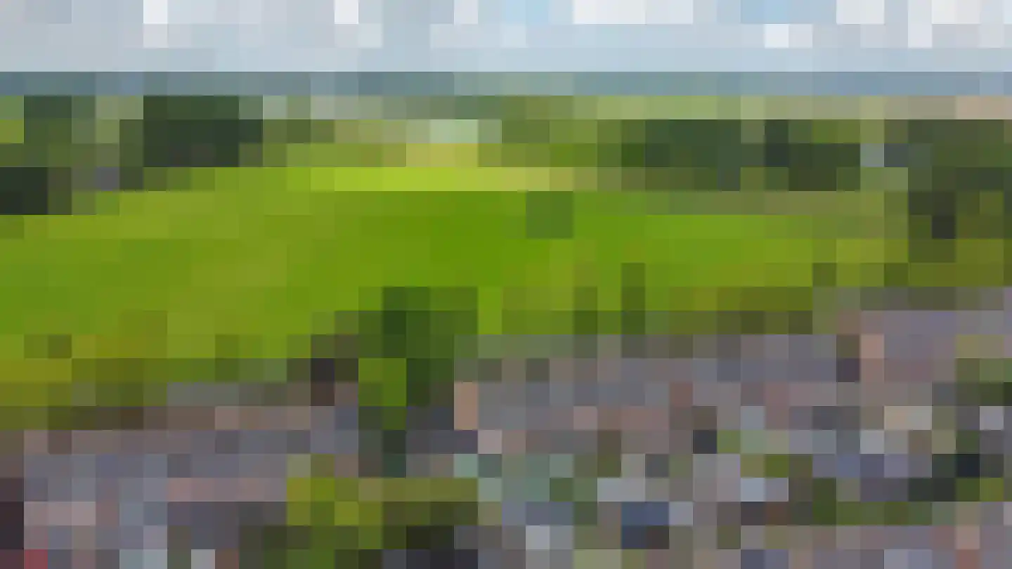 Pijlstaart 18 Oud-Beijerland thumbnail 39