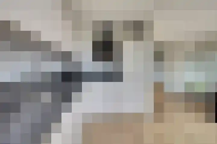 Pijlstaart 2 Deventer thumbnail 12