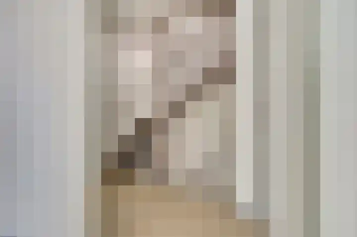 Pijlstaart 2 Deventer thumbnail 14