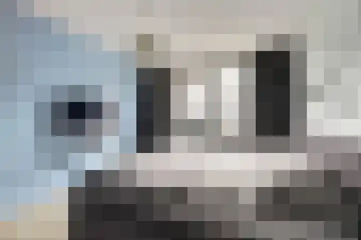 Pijlstaart 2 Deventer thumbnail 15