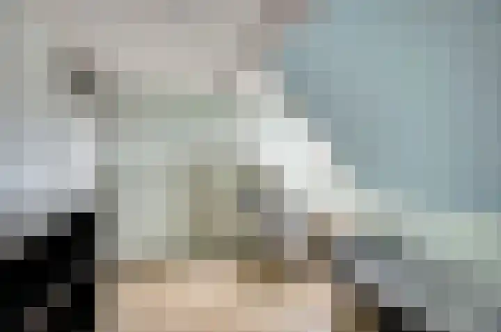 Pijlstaart 2 Deventer thumbnail 19