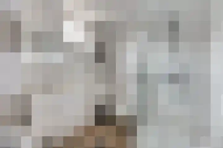 Pijlstaart 2 Deventer thumbnail 21
