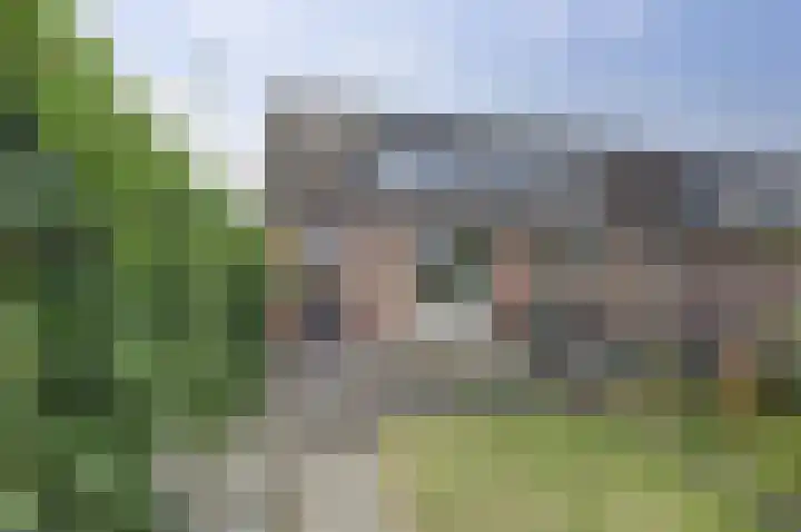 Pijlstaart 2 Deventer thumbnail 29