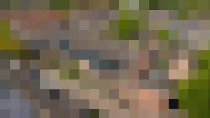 Pijlstaart 2 Deventer thumbnail 30