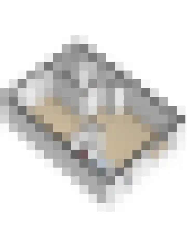 Pijlstaart 2 Deventer thumbnail 35