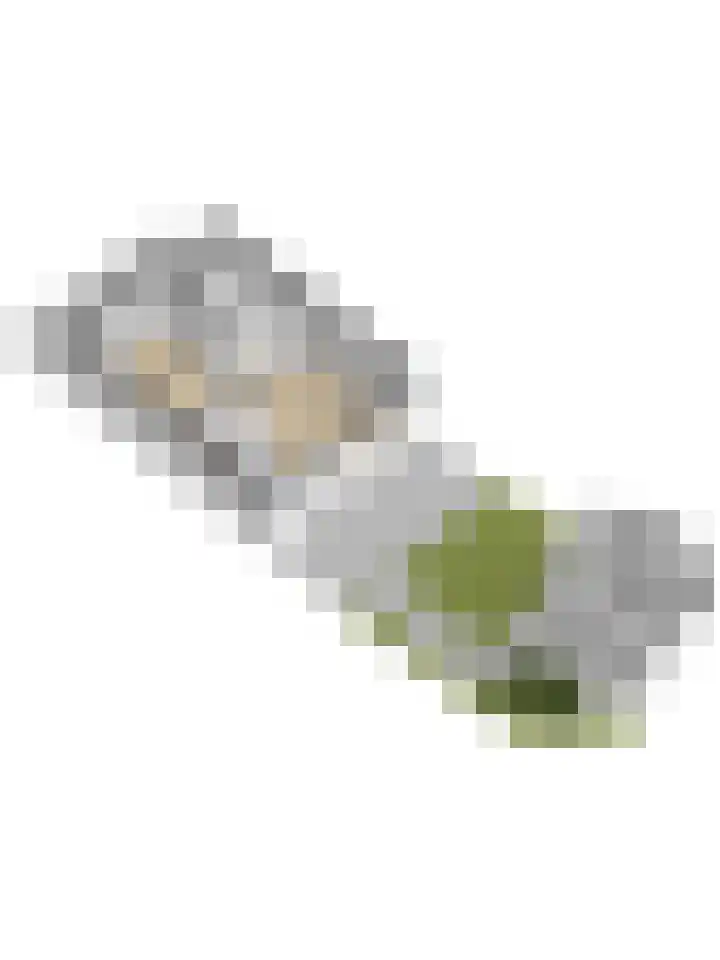 Pijlstaart 2 Deventer thumbnail 41