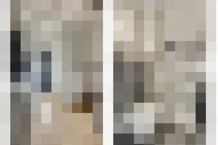 Pijlstaart 2 Deventer thumbnail 6