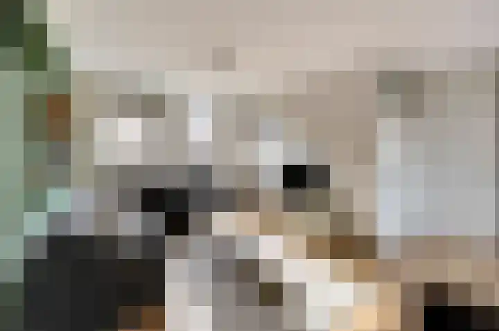 Pijlstaart 2 Deventer thumbnail 7