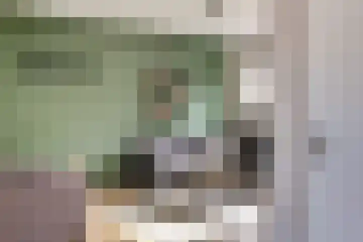 Pijlstaart 2 Deventer thumbnail 8