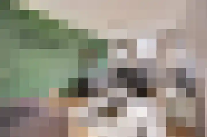 Pijlstaart 2 Deventer thumbnail 9