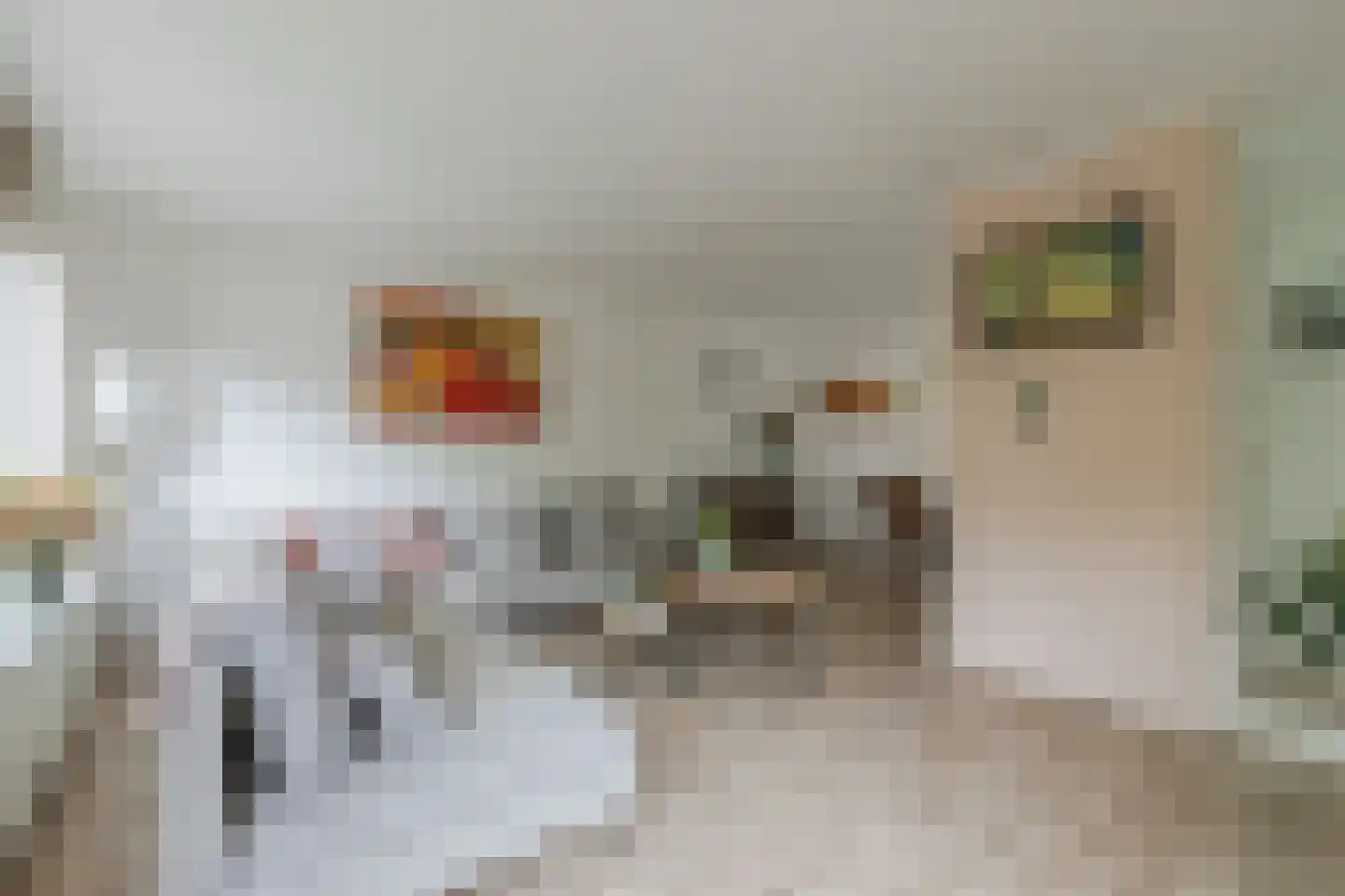 Pijlstaart 2 Grave thumbnail 11