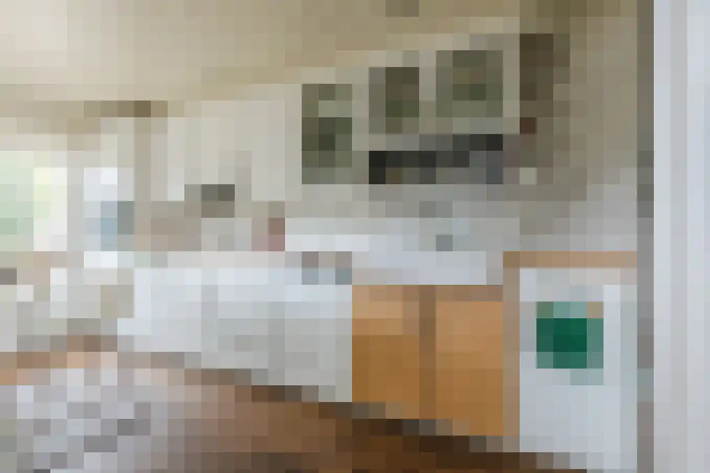 Pijlstaart 2 Grave thumbnail 14