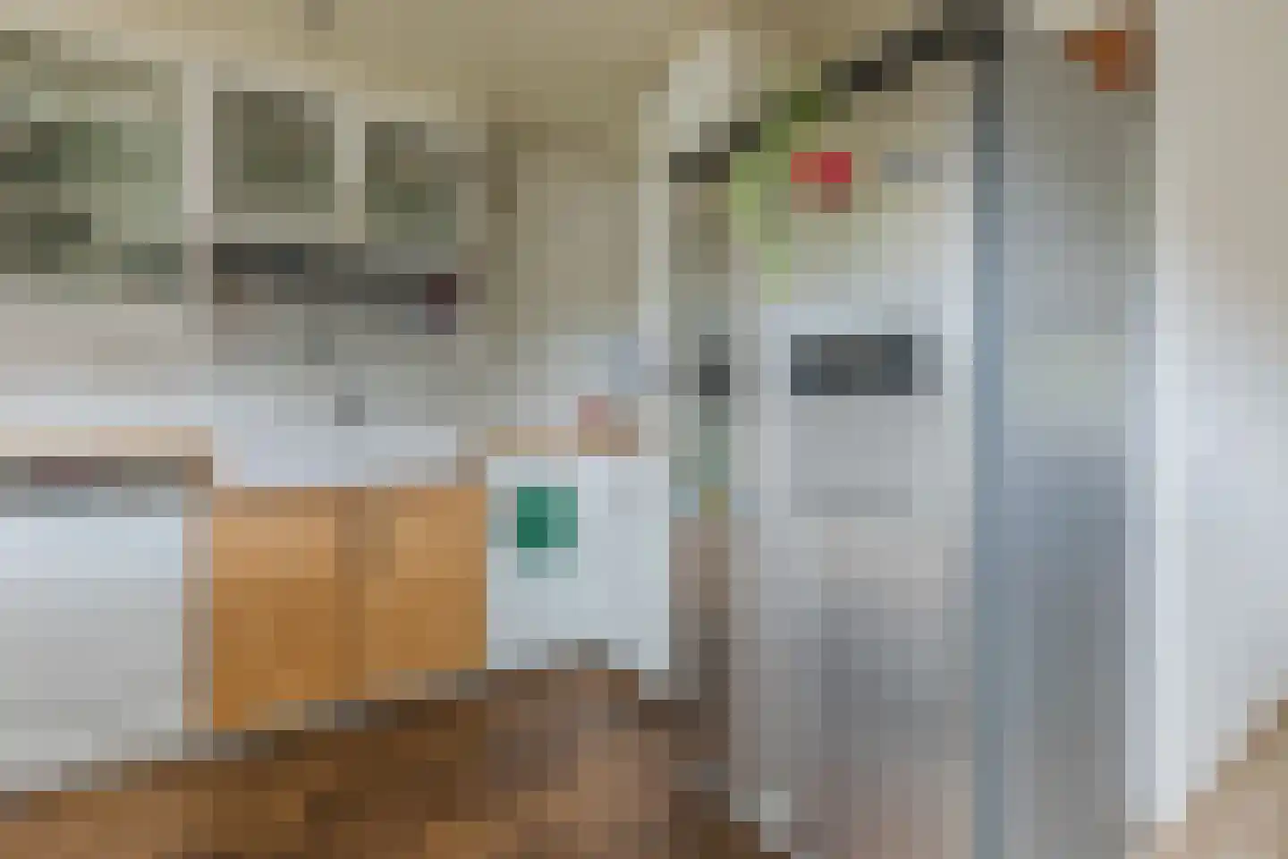 Pijlstaart 2 Grave thumbnail 15