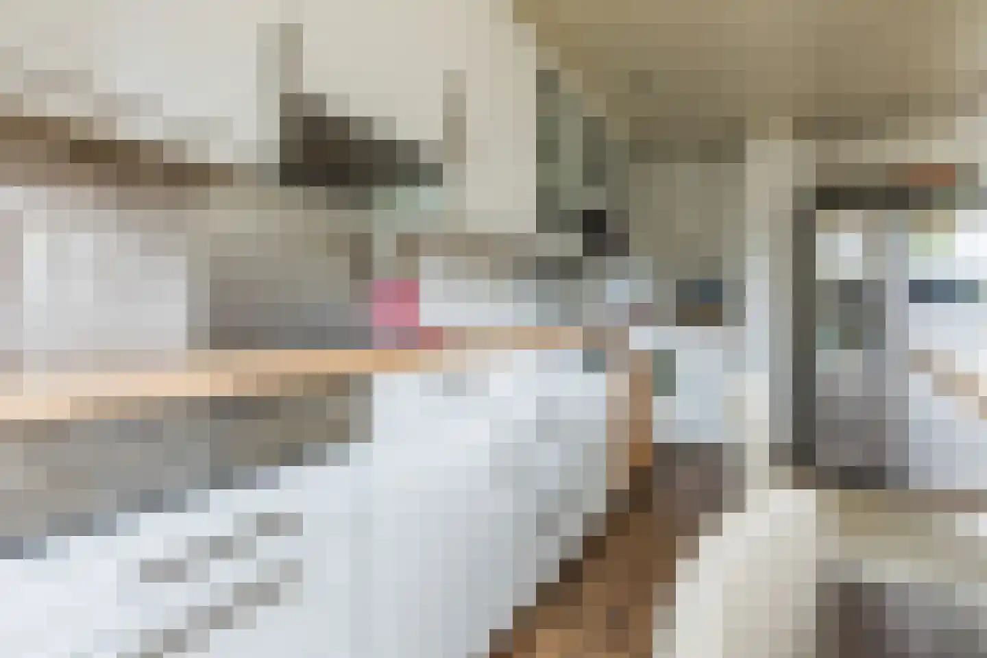 Pijlstaart 2 Grave thumbnail 15