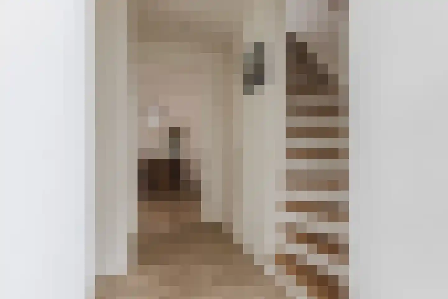 Pijlstaart 2 Grave thumbnail 19