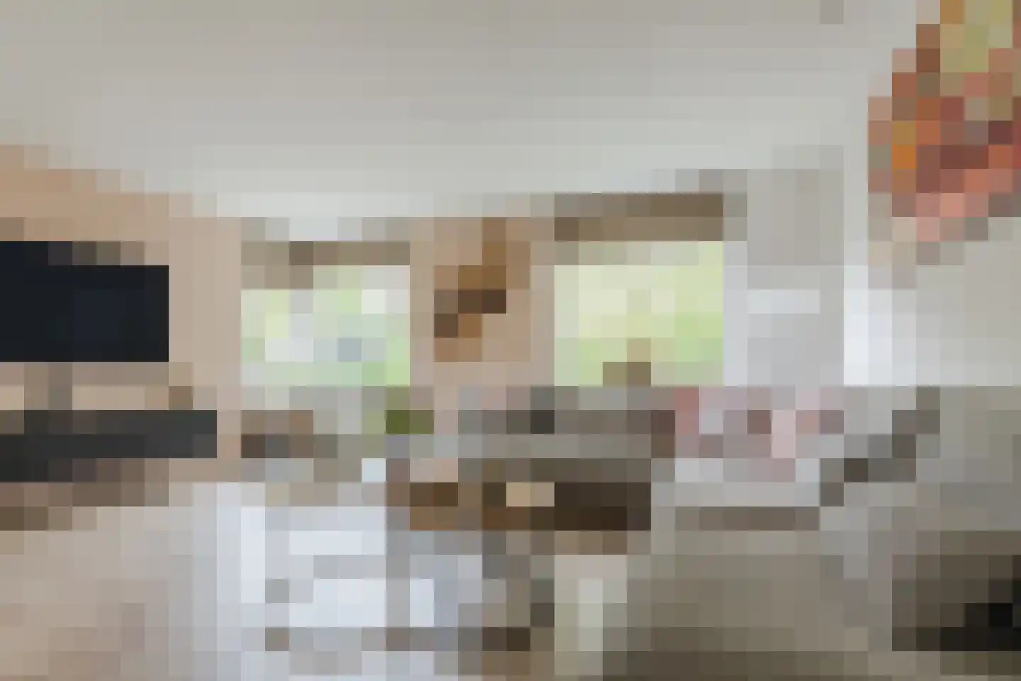Pijlstaart 2 Grave foto 2