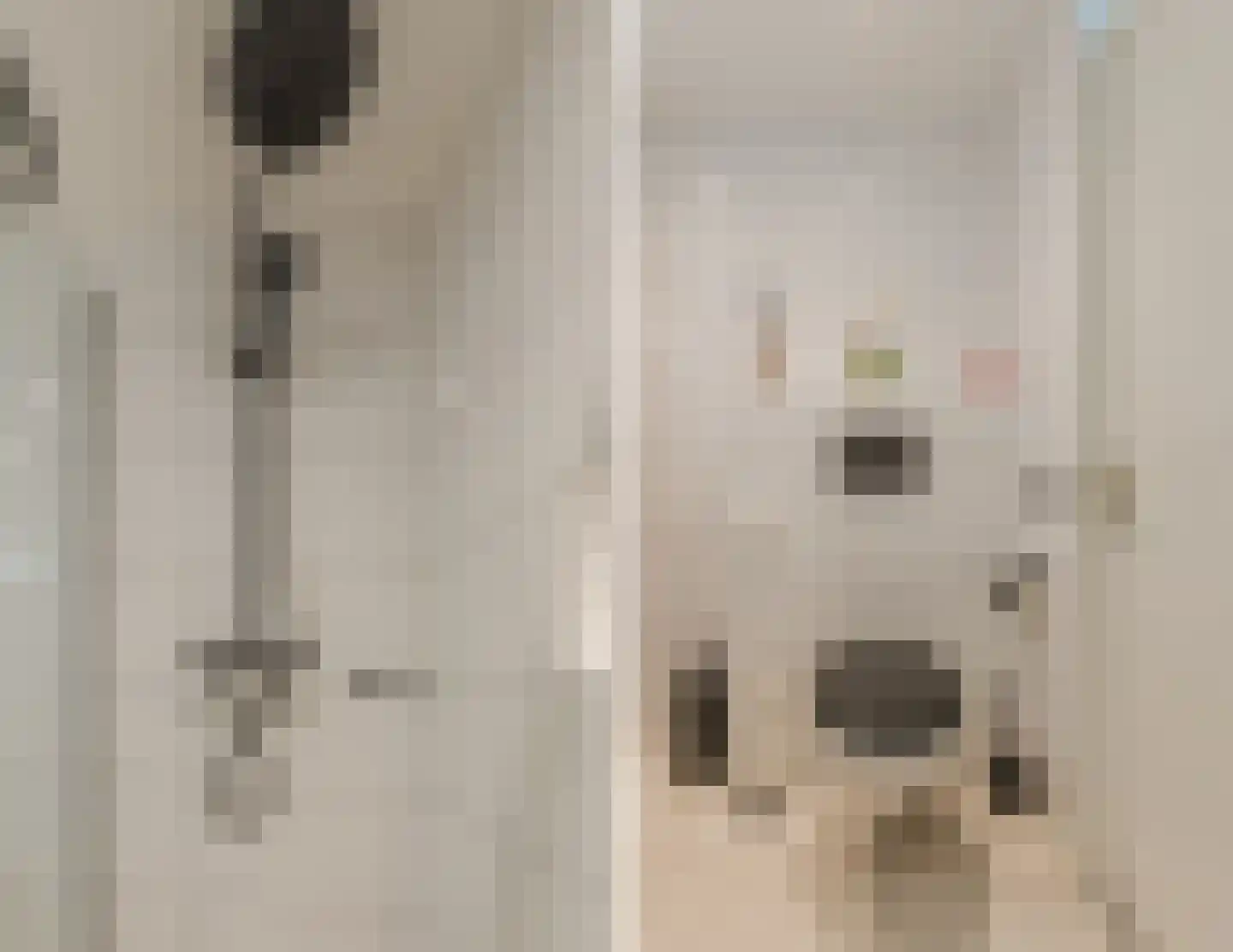 Pijlstaart 2 Grave thumbnail 25