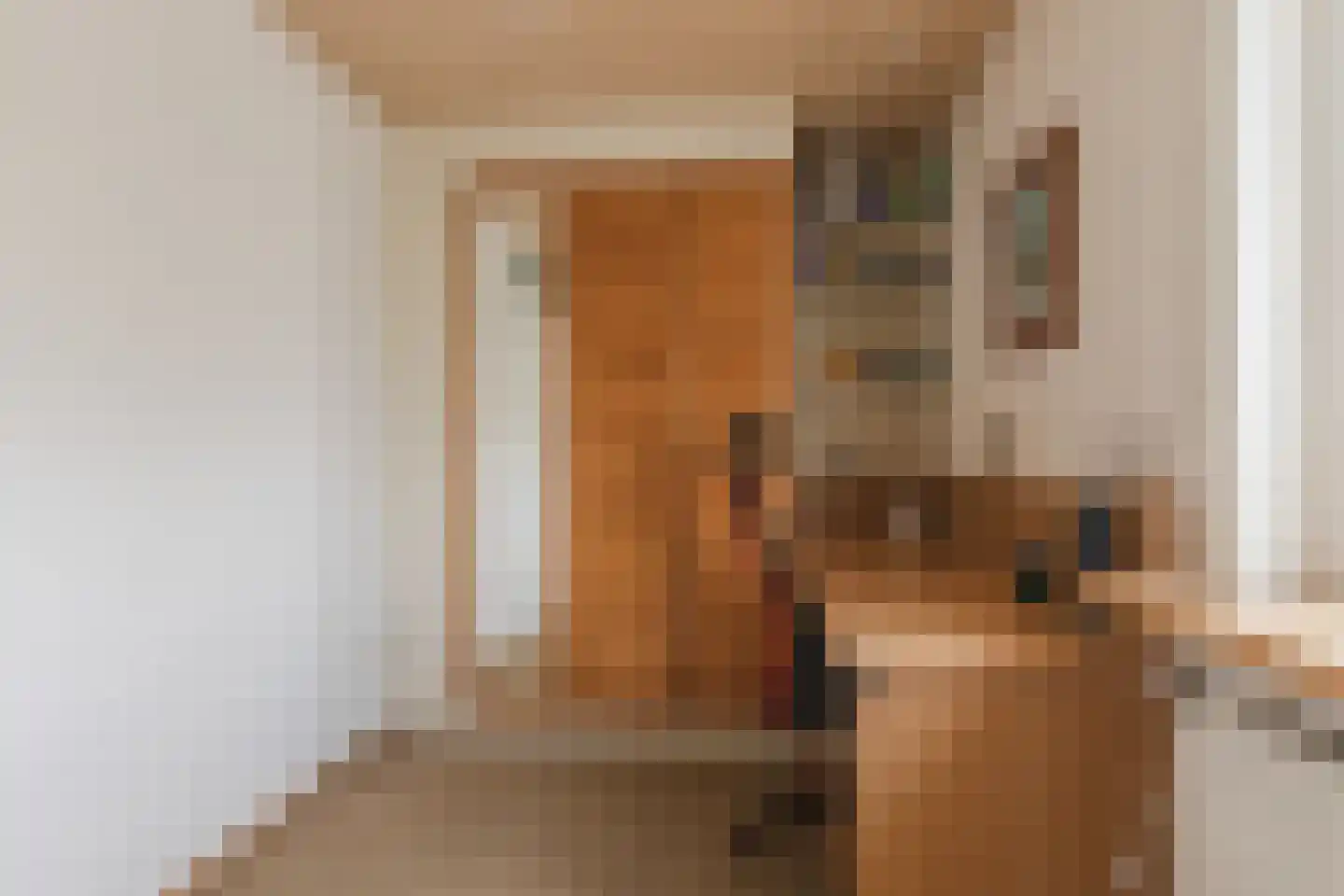 Pijlstaart 2 Grave thumbnail 25