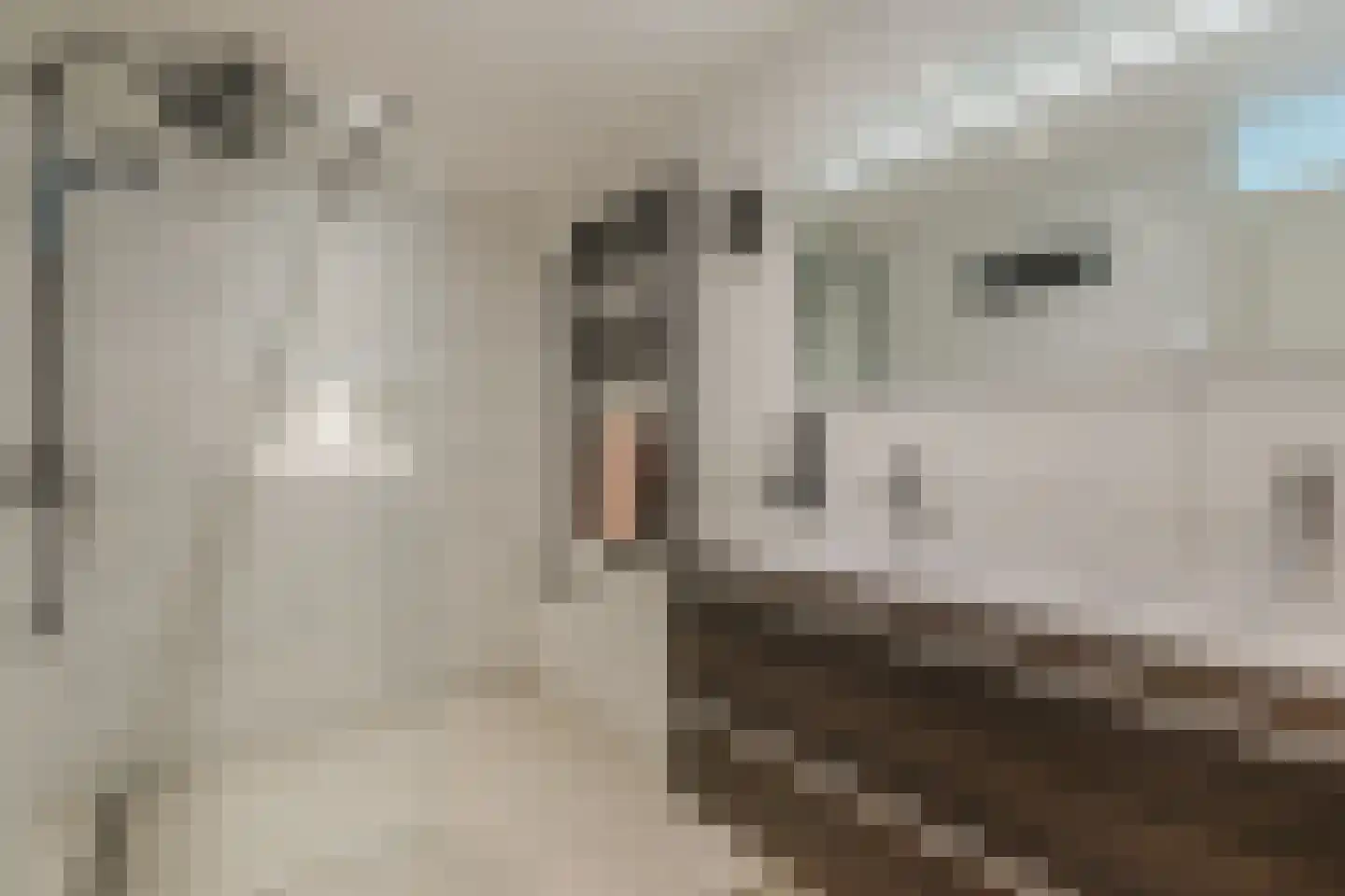 Pijlstaart 2 Grave thumbnail 26