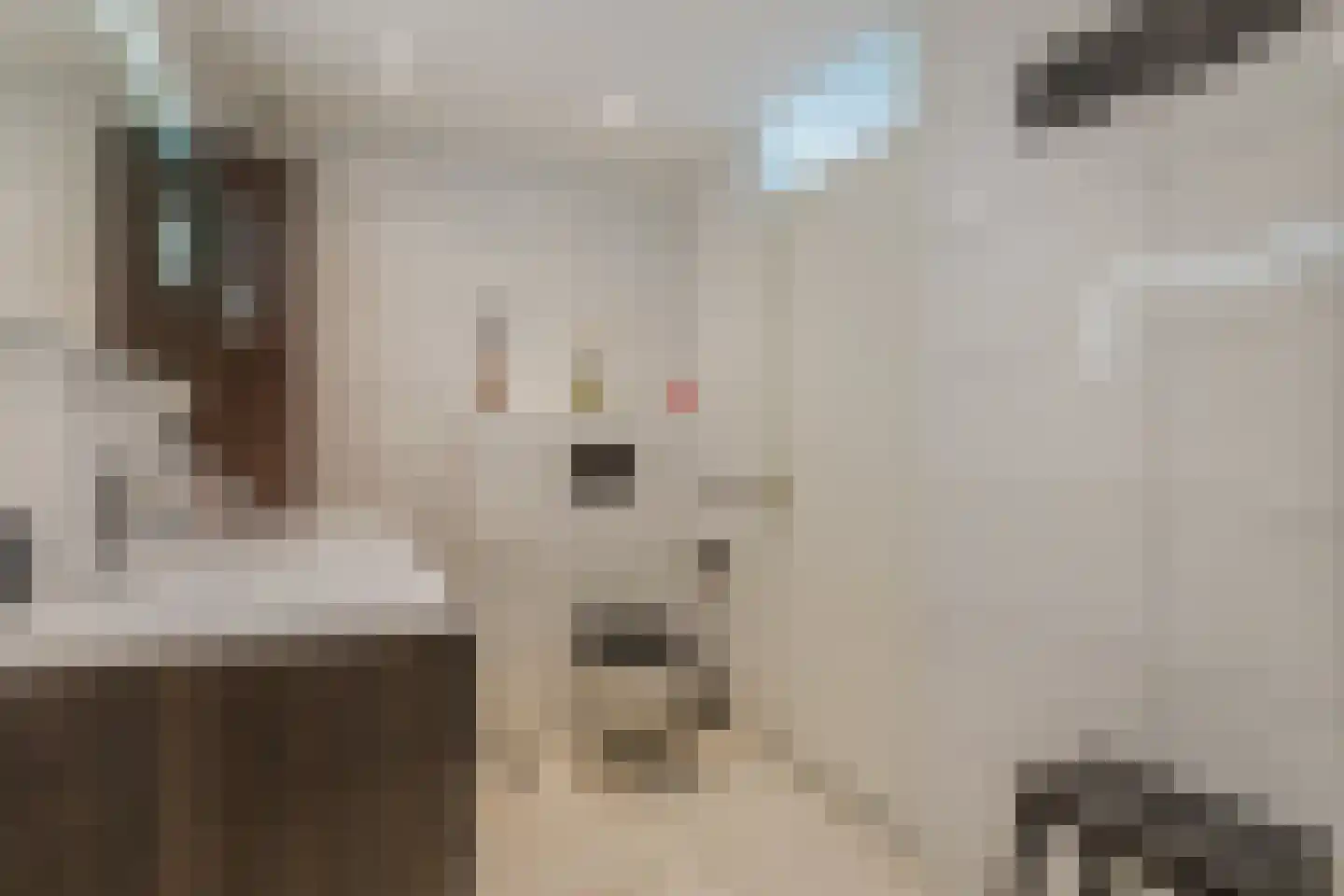 Pijlstaart 2 Grave thumbnail 27
