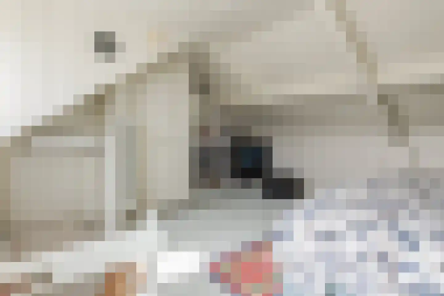 Pijlstaart 2 Grave thumbnail 29