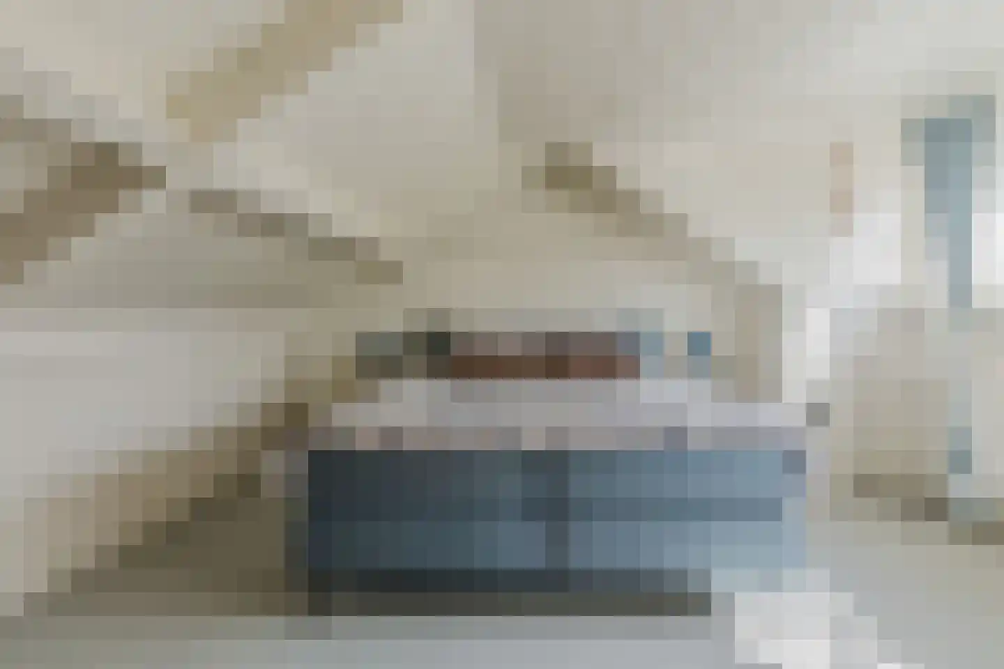 Pijlstaart 2 Grave thumbnail 30