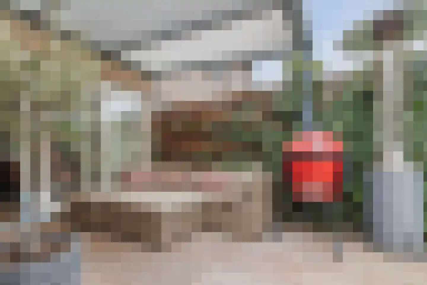 Pijlstaart 2 Grave thumbnail 31